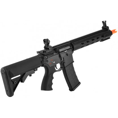GC16 FFR 12