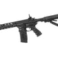 GC16 Wild Hog 9