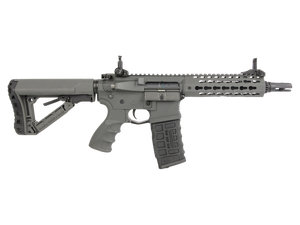 CM16 SRS