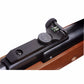 Ruger Air Hawk 490 FPS .177 Caliber