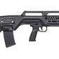 ESG B-10